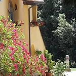 Spazzavento Vecchiano
