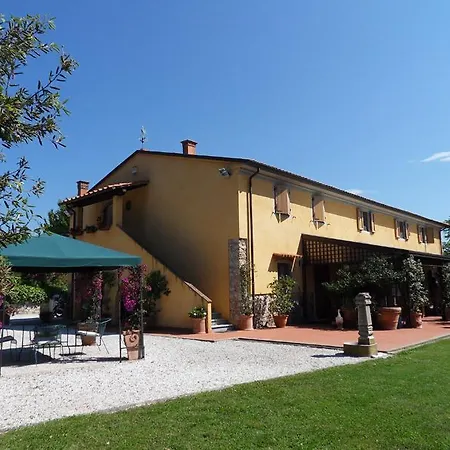Spazzavento Vecchiano