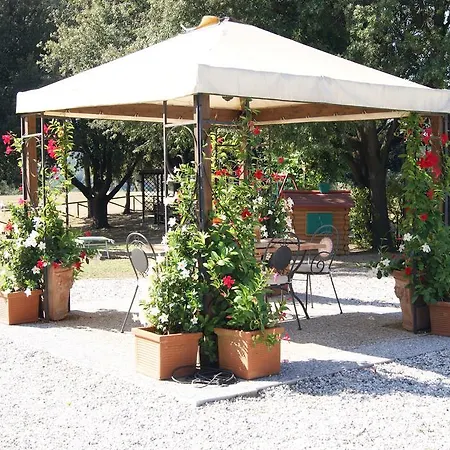 Spazzavento * Vecchiano