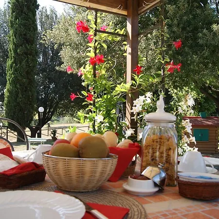 Spazzavento Bauernhof Vecchiano