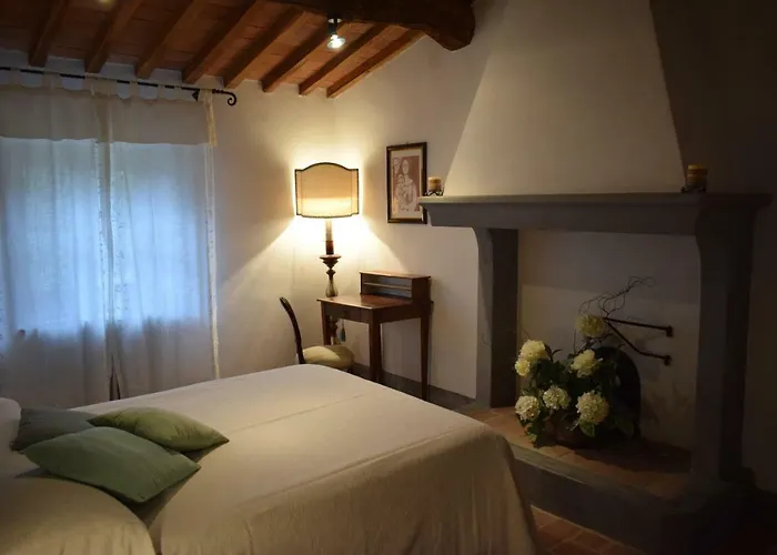 Spazzavento Vecchiano
